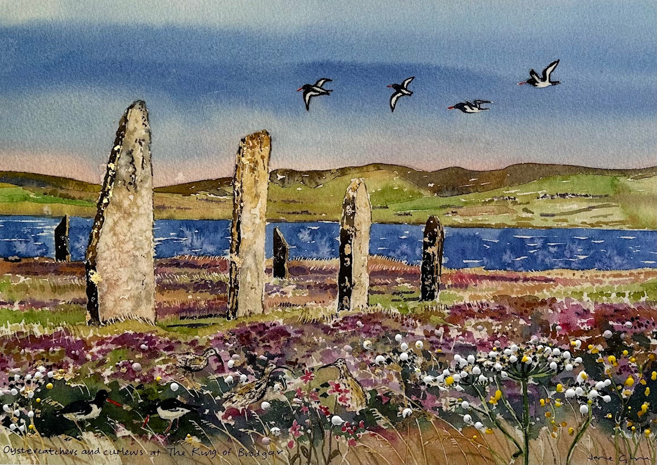 Hand finished print A3 size unframed/Oystercatchers and curlews at The Ring of Brodgar