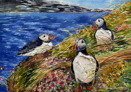 Hand finished print A4 size unframed/Curious puffins