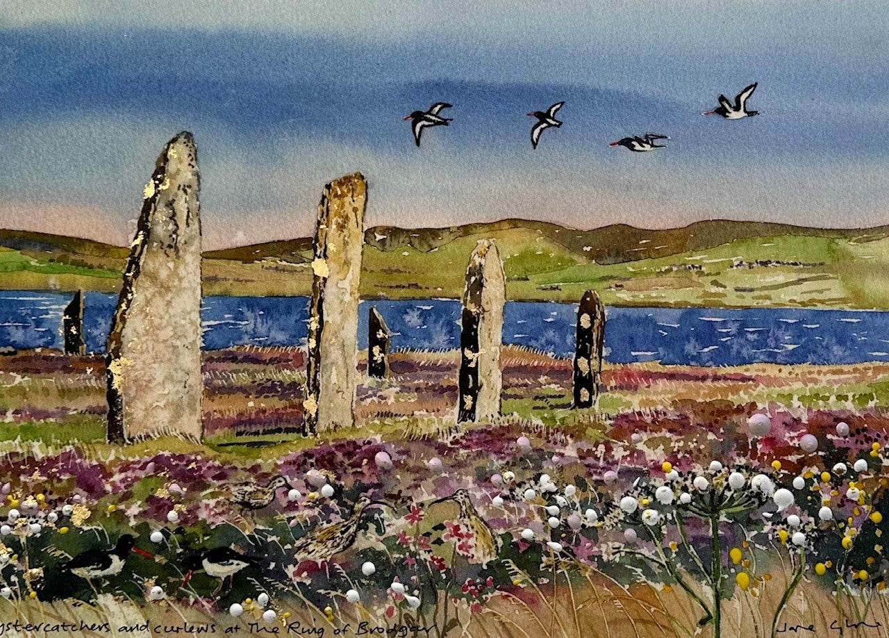 Hand finished print A4 size unframed/Oystercatchers and curlews at The Ring of Brodgar