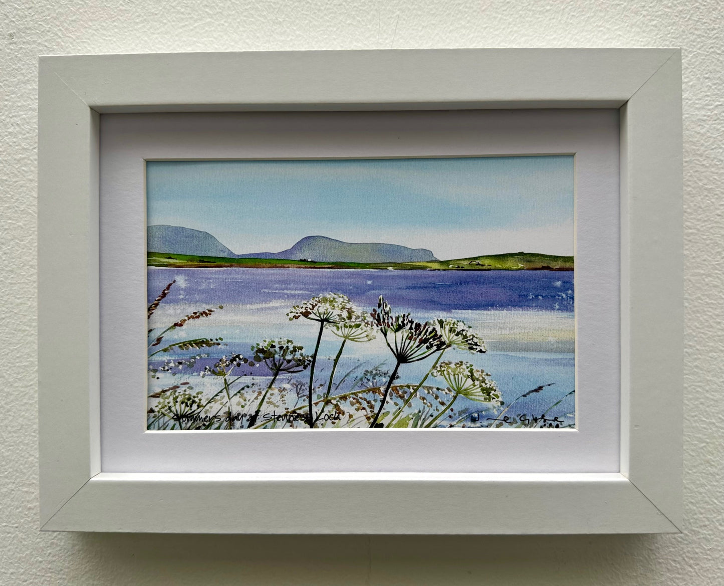 Small framed print/Summers day at stenness loch