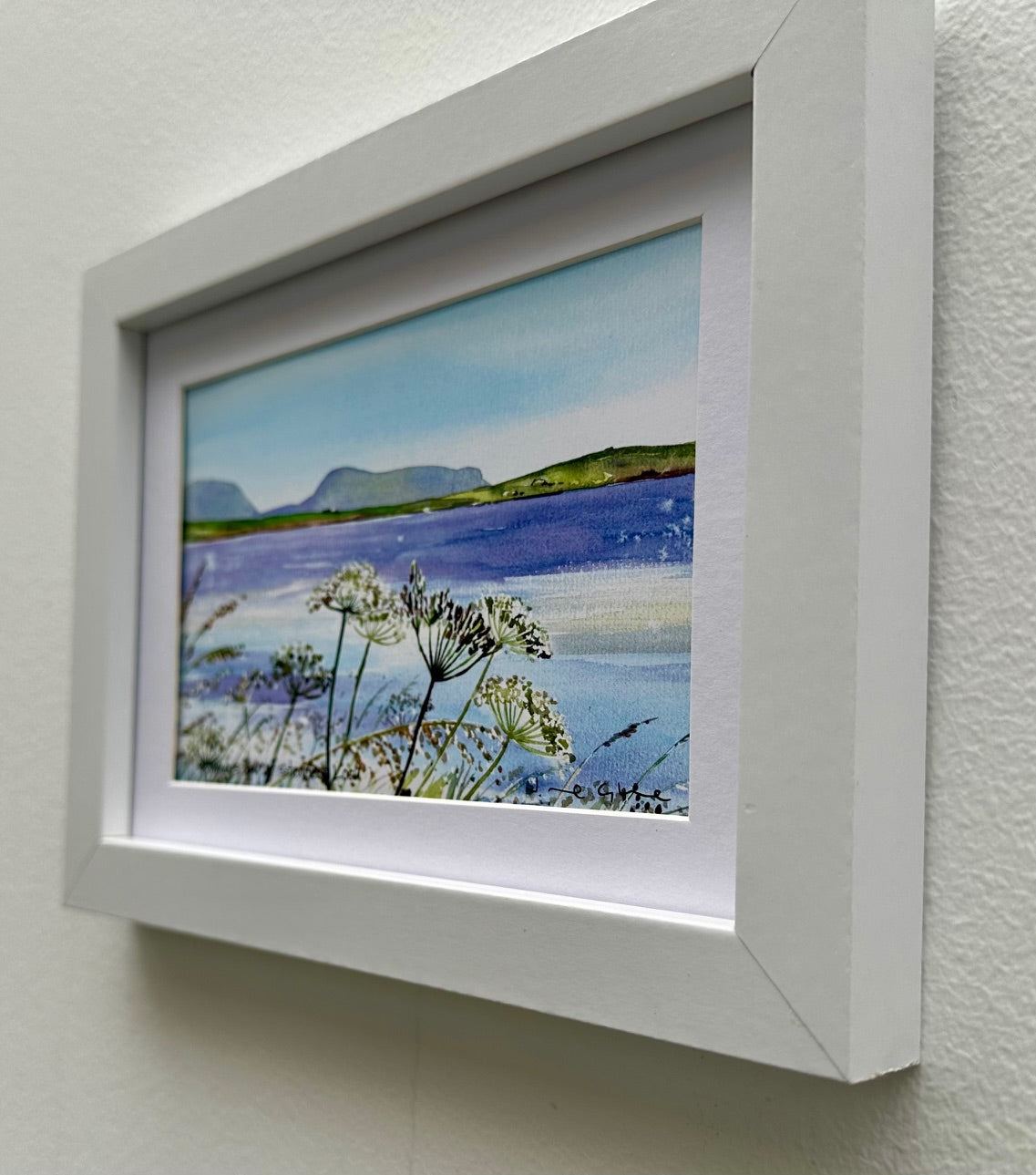 Small framed print/Summers day at stenness loch