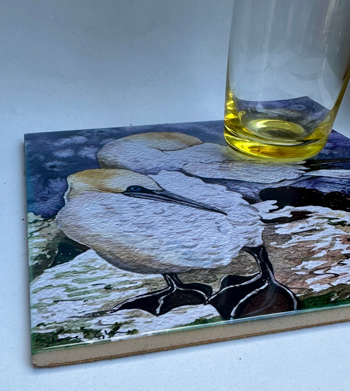 Large ceramic tile/Two gannets