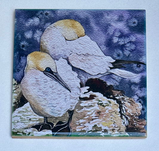 Medium ceramic tile/Two gannets