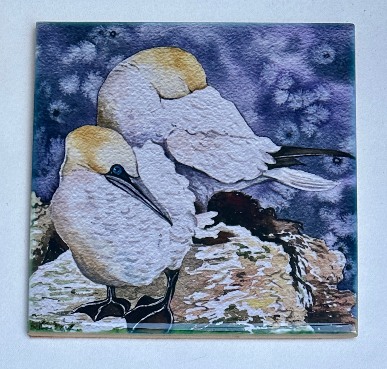 Large ceramic tile/Two gannets