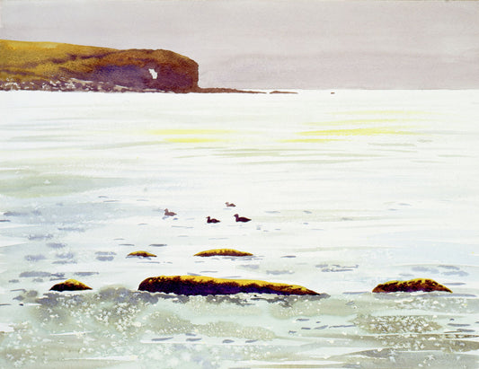 Limited edition print/Skaill beach, Orkney