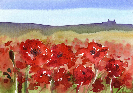 Limited edition print/Poppy field